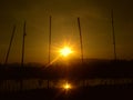 silhouette photos in the morning in the rice field area of Ã¢â¬â¹Ã¢â¬â¹a village